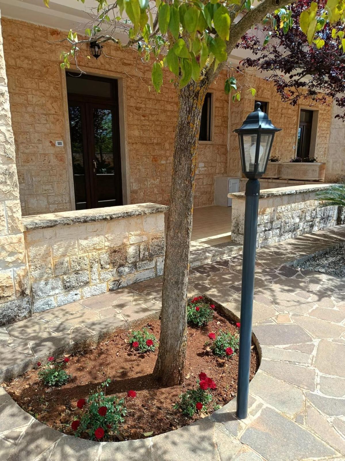 Villa Lisi Selva Di Fasano Exteriör bild